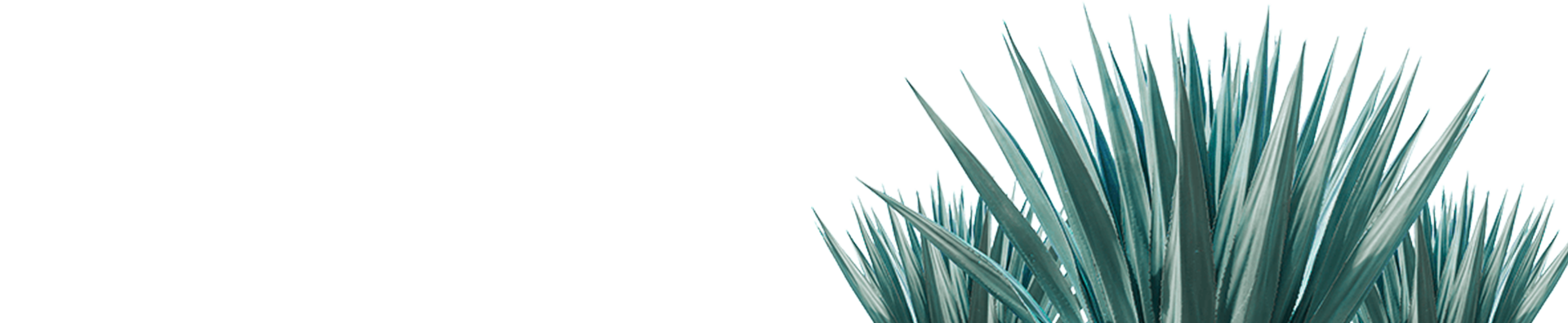 shape2